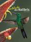 Preview: Entdecke die Kolibris